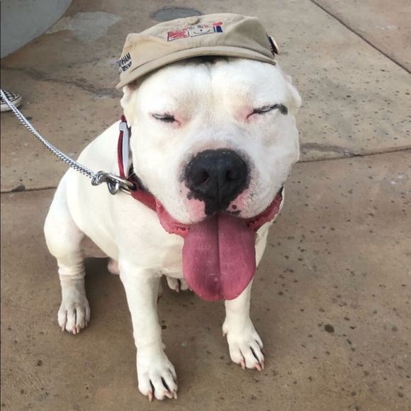 Meet your Posher, Tim - Picture 1 of 1